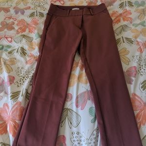 Loft dress pant